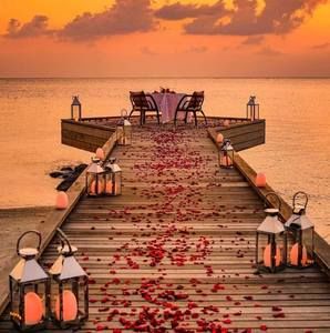 Meet your Posher, Nasser